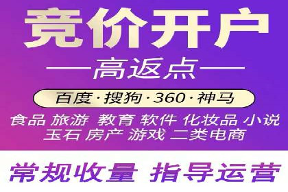 SEM推广技巧：成功案例深度剖析